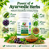 DesiAyur Shugar Nashak Powder | Ayurvedic Herbal Formula