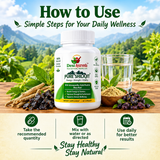 DesiAyur Shugar Nashak Powder | Ayurvedic Herbal Formula